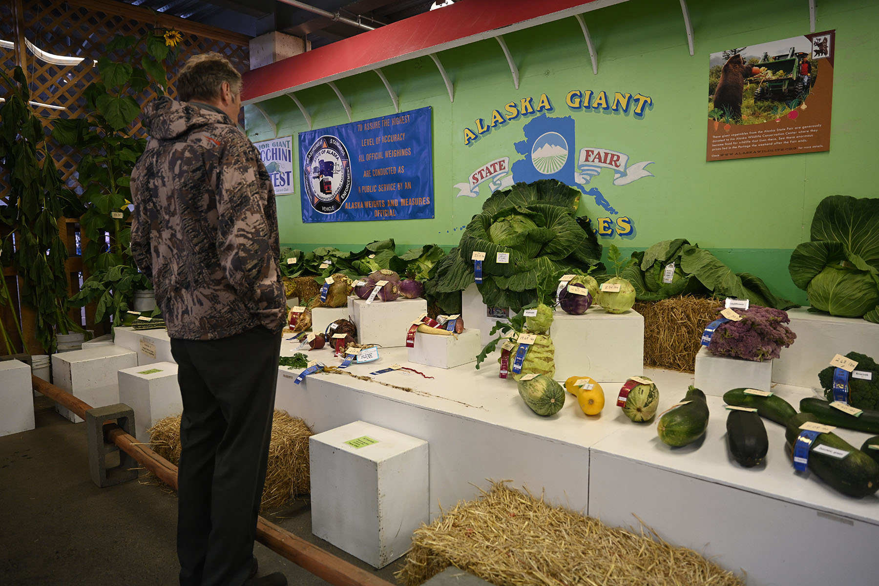 Governor Dunleavy visits the large vegetable exhibit at the Alaska State Fair in 2022