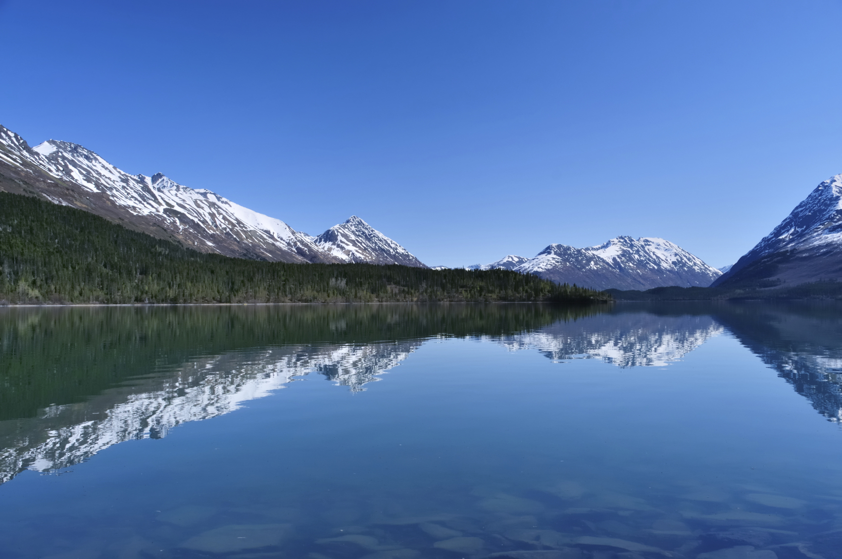 Turnagain Arm Perspective